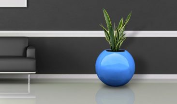 Planters (1)