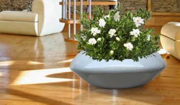 Planters (25)