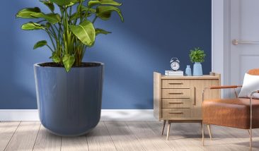 Planters (26)