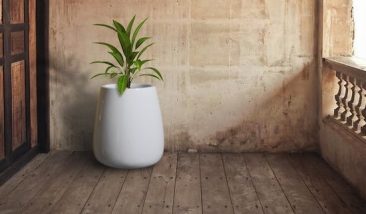 Planters (3)