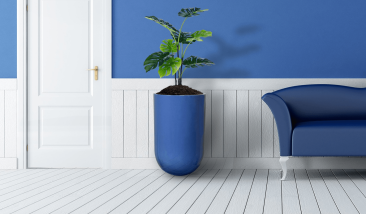 Planters (3)
