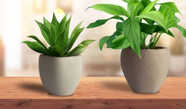 Planters (8)